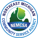 NEMCSA logo